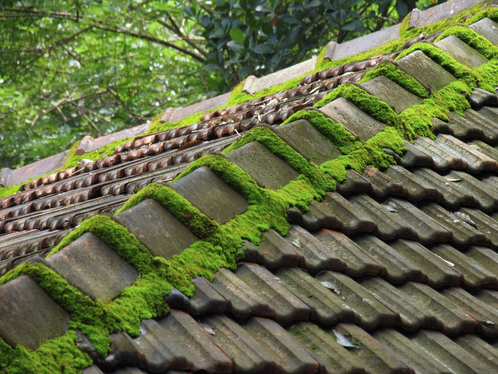 Démoussage de toiture à Aspin-en-Lavedan